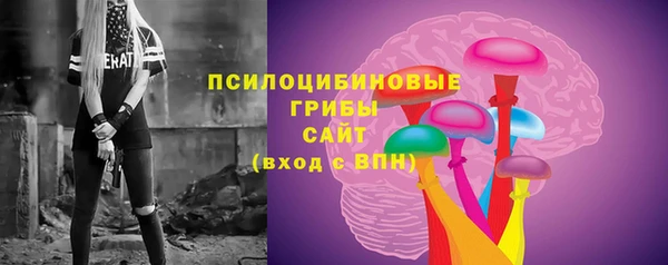 МДПВ Арсеньев