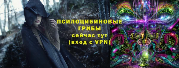МДПВ Арсеньев