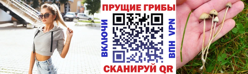 Галлюциногенные грибы ЛСД  Купить где  Верхняя Салда 